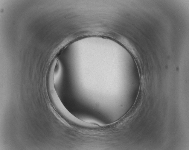 X0000086040389200704202016