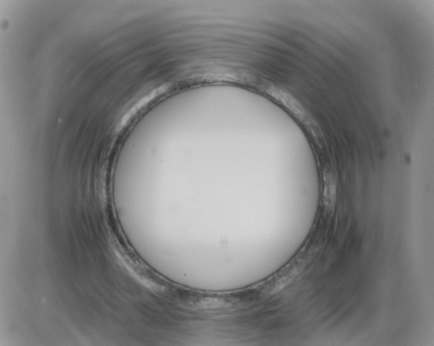 X0000086040390200704202016