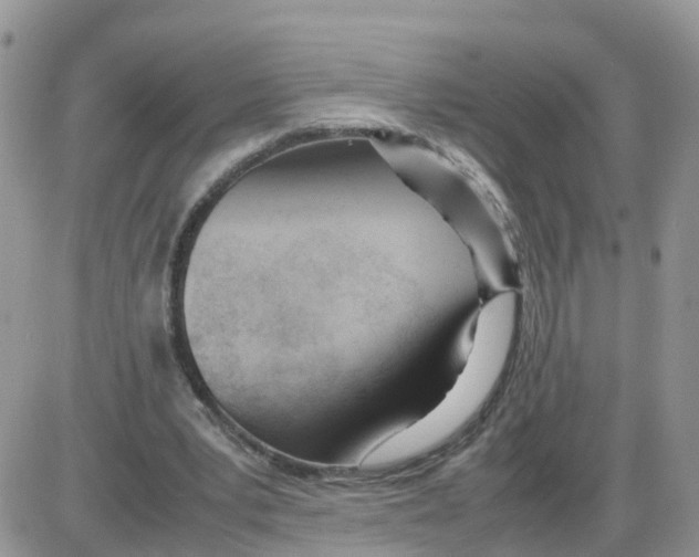 X0000086040391200704202016