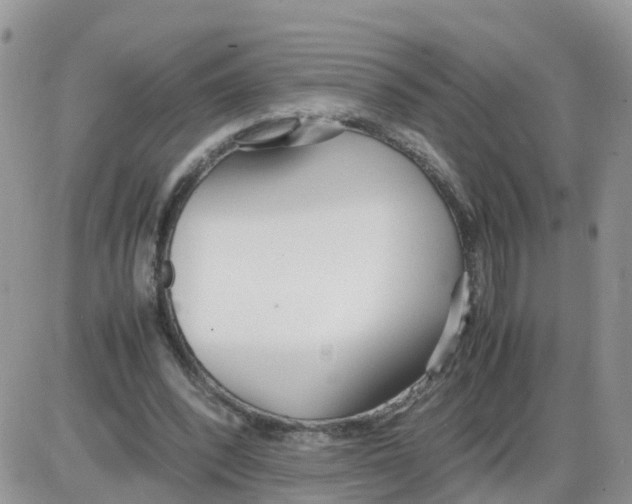 X0000086040392200704202016