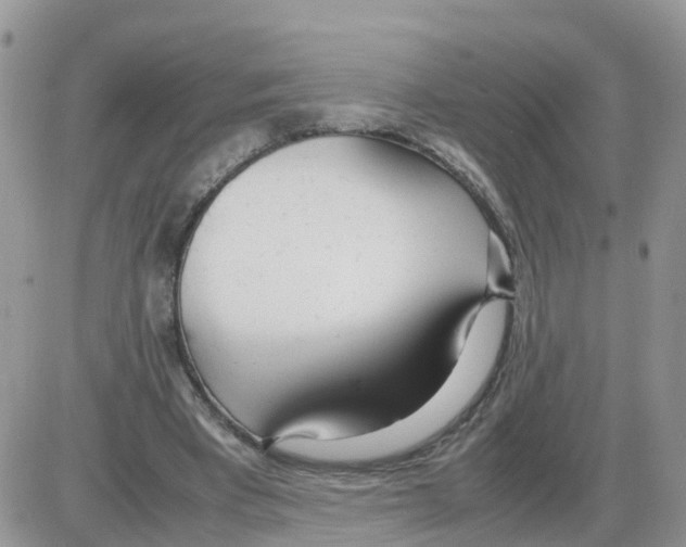 X0000086040393200704202016