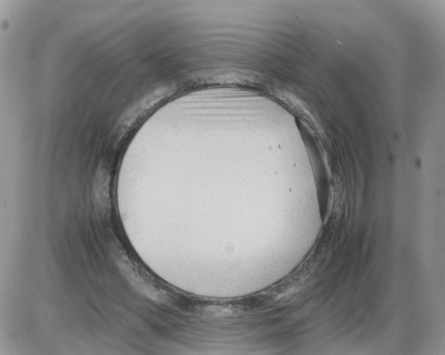 X0000086040394200704202016