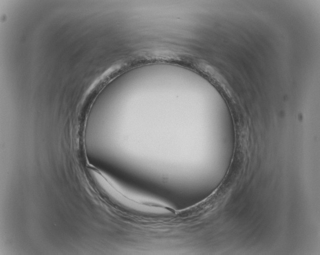 X0000086040395200704202016