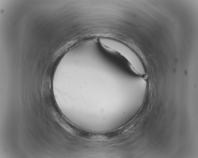 X0000086040397200704202016