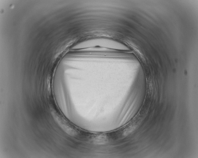 X0000086040398200704202016