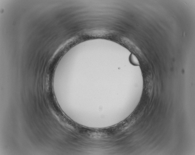 X0000086040400200704202016