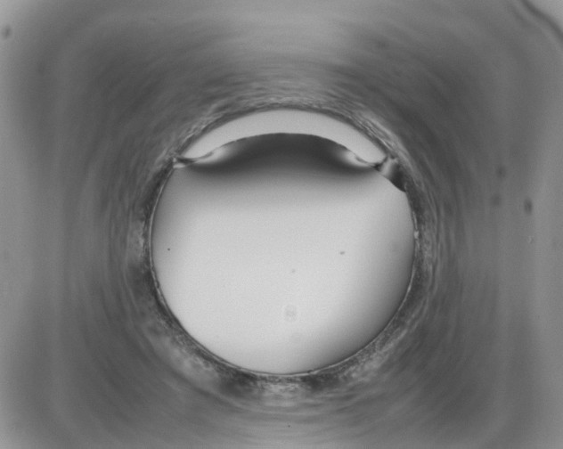 X0000086040401200704202016