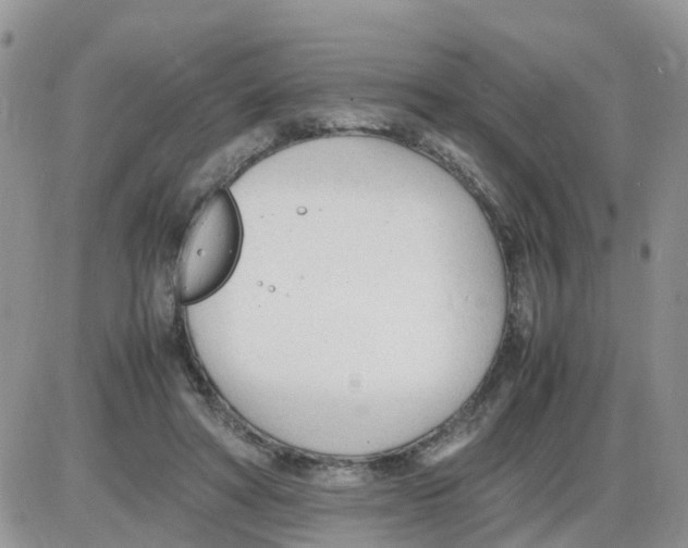 X0000086040402200704202016