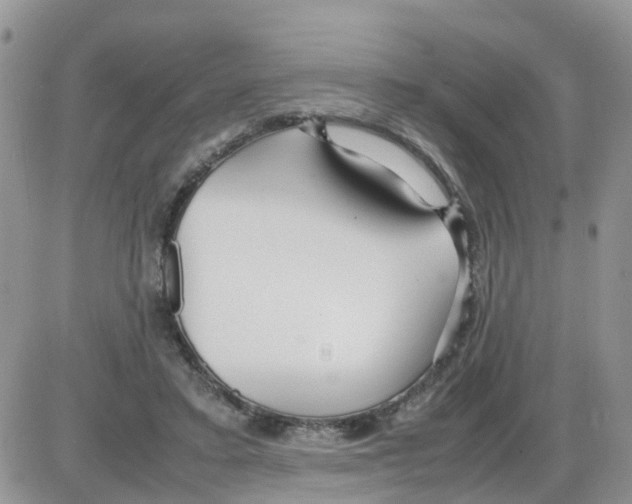 X0000086040403200704202016