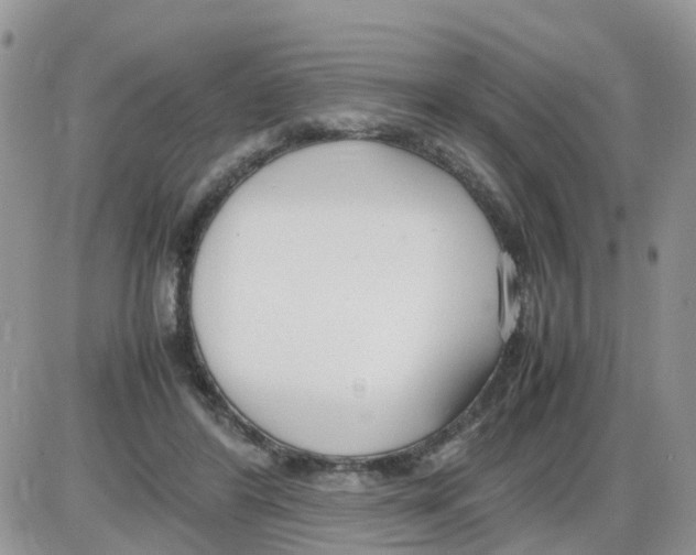 X0000086040404200704202016