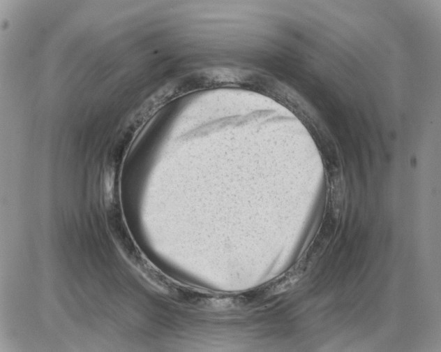 X0000086040406200704202016