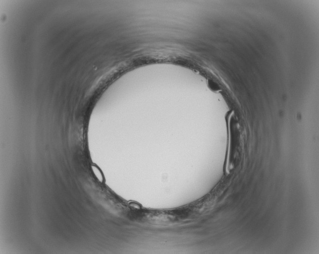 X0000086040407200704202016