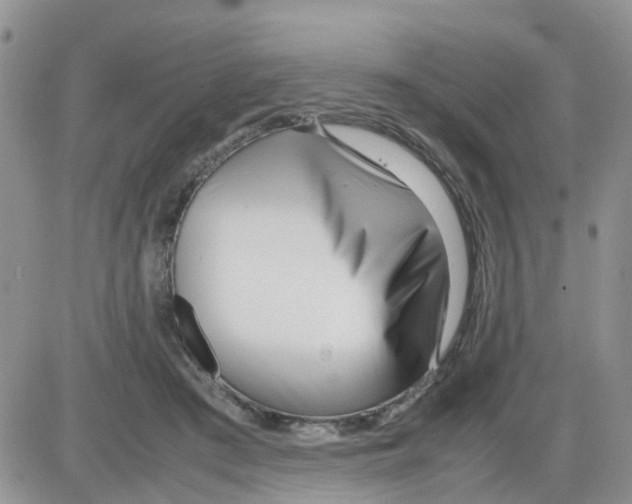 X0000086040409200704202016