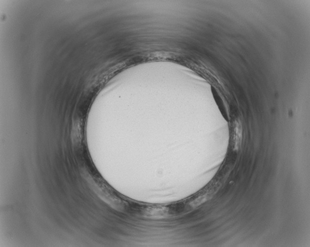 X0000086040410200704202016