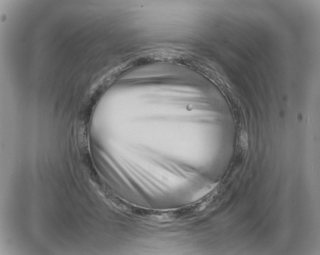 X0000086040411200704202016