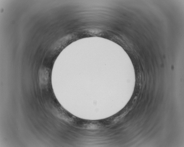 X0000086040412200704202016