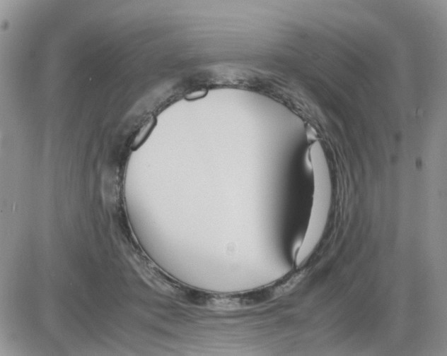 X0000086040413200704202016