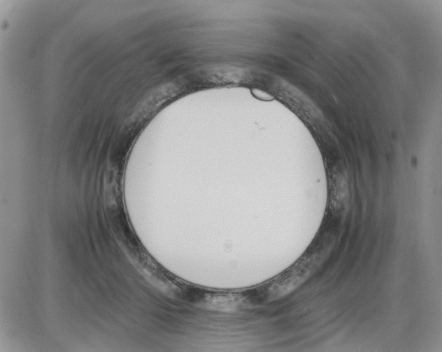 X0000086040414200704202016