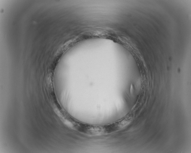 X0000086040415200704202016