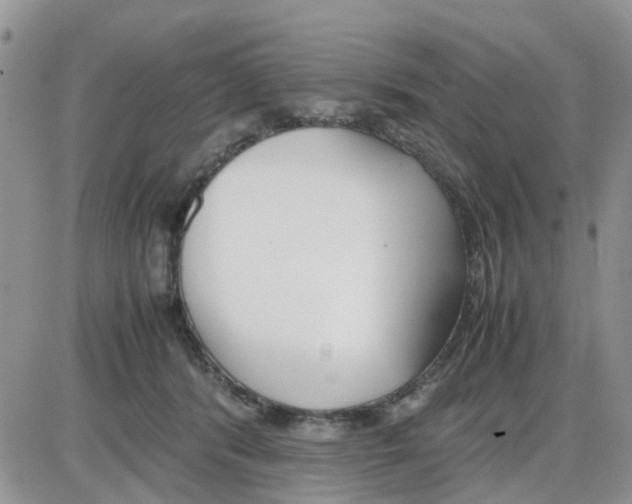 X0000086040416200704202016