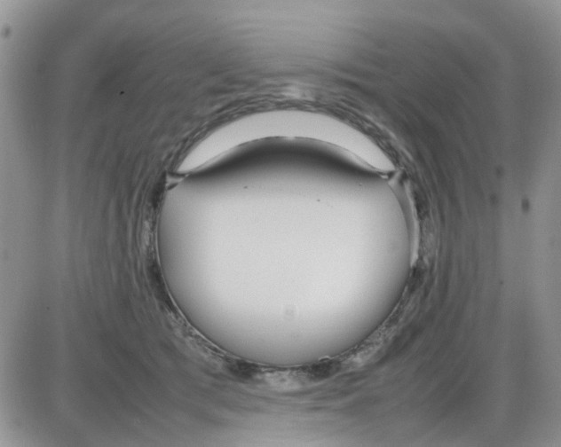 X0000086040417200704202016