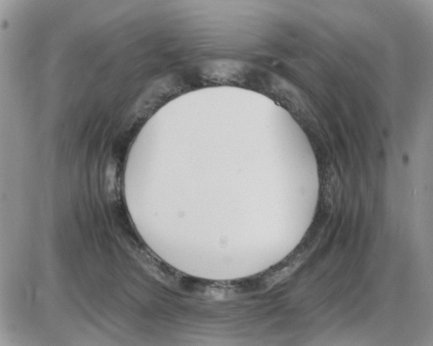 X0000086040420200704202016