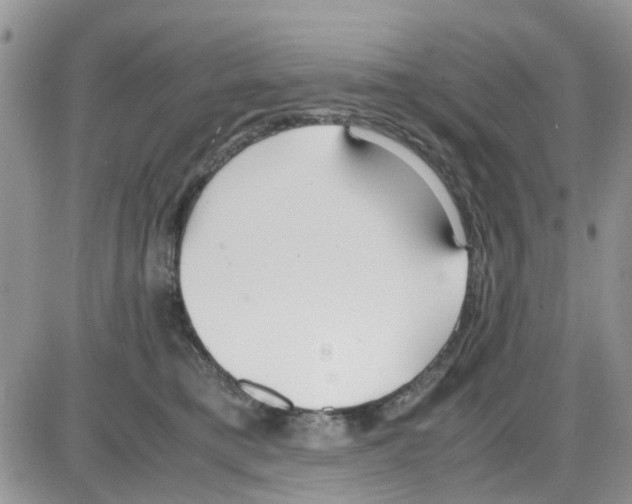 X0000086040421200704202016