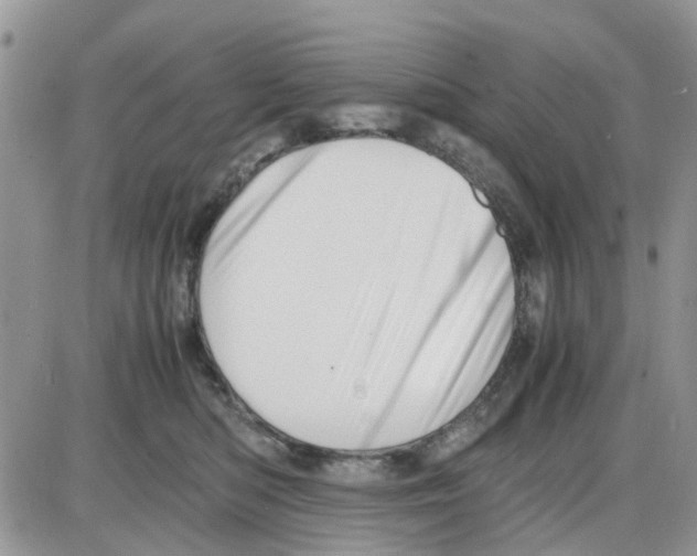 X0000086040422200704202016