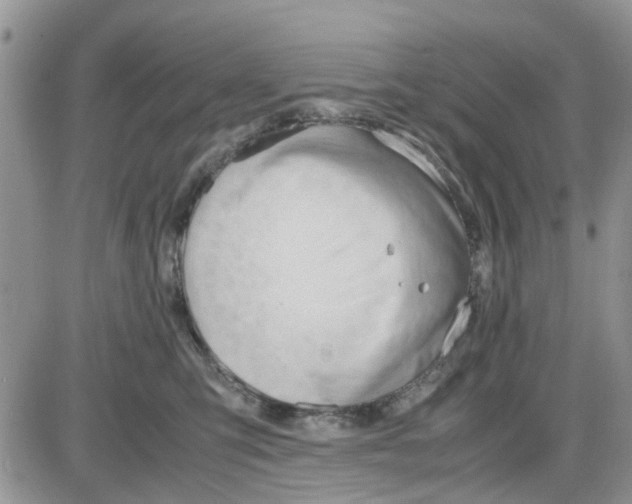 X0000086040423200704202016