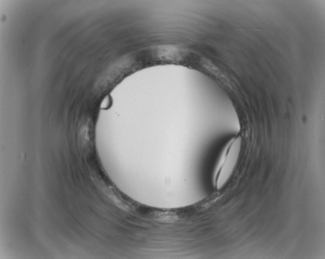 X0000086040424200704202016