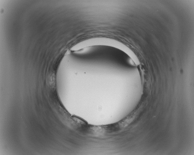 X0000086040425200704202016