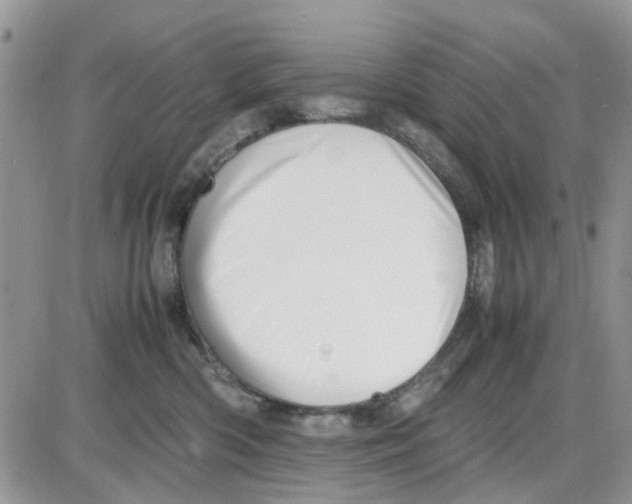 X0000086040426200704202016