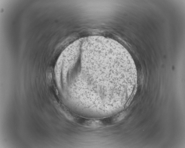 X0000086040427200704202016