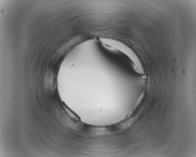 X0000086040428200704202016