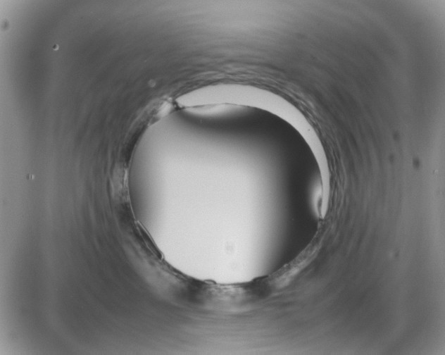 X0000086040429200704202016