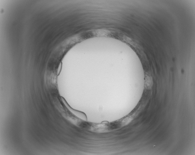 X0000086040431200704202016