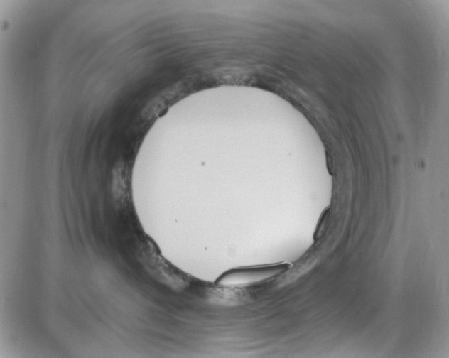 X0000086040432200704202016