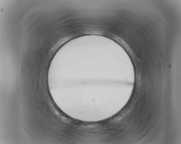 X0000086040433200704202015