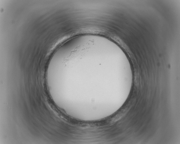 X0000086040434200704202015