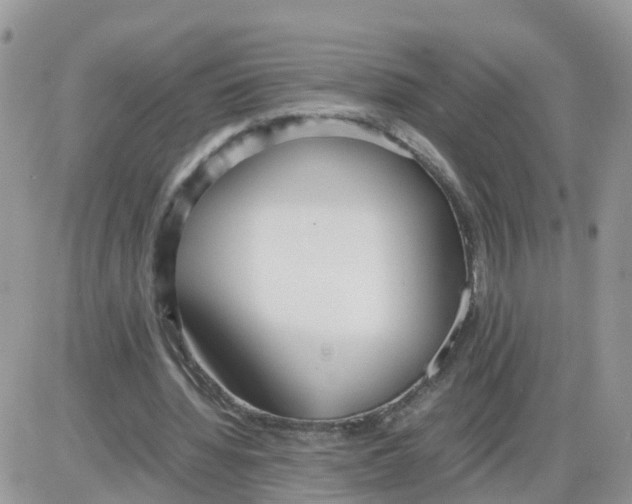 X0000086040436200704202015