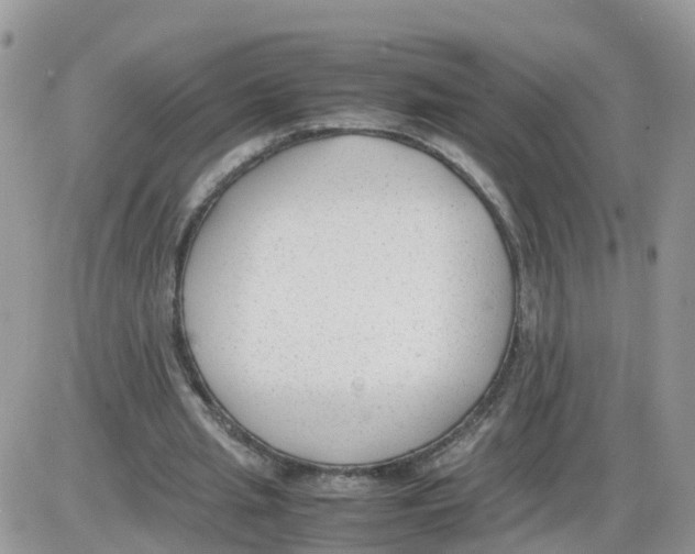 X0000086040437200704202015