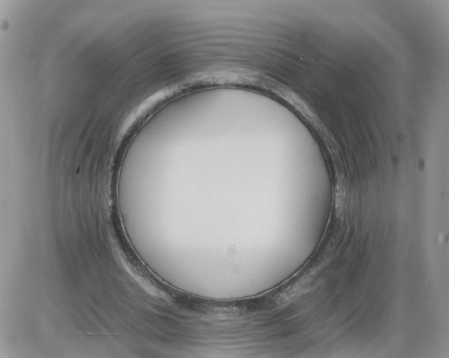 X0000086040438200704202015