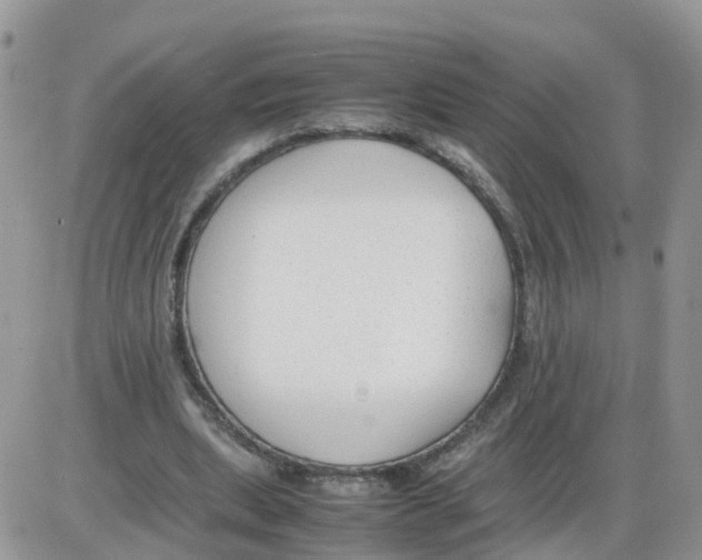 X0000086040439200704202015