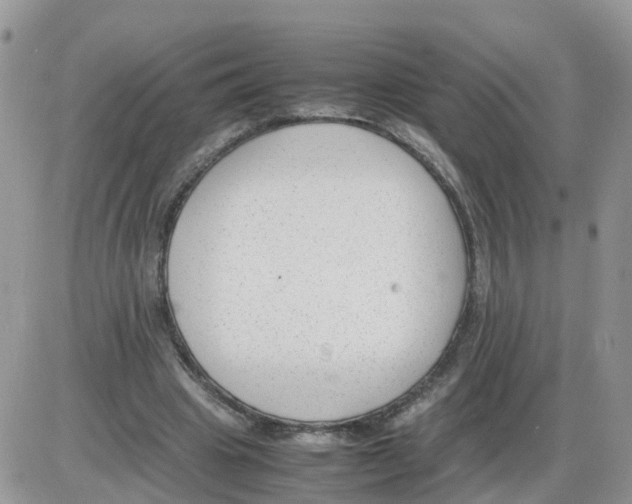 X0000086040441200704202015