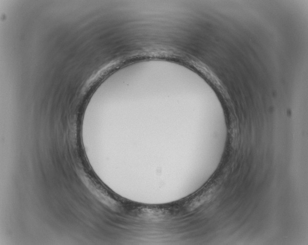 X0000086040442200704202015