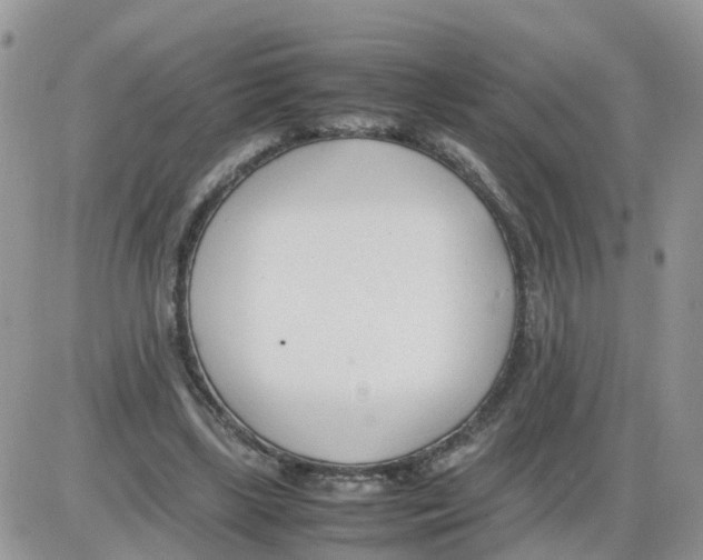 X0000086040443200704202015