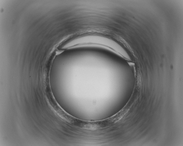 X0000086040444200704202015