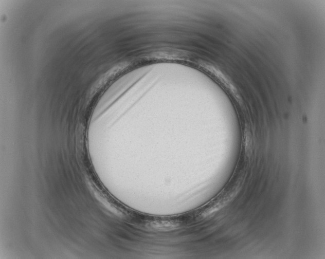 X0000086040445200704202015