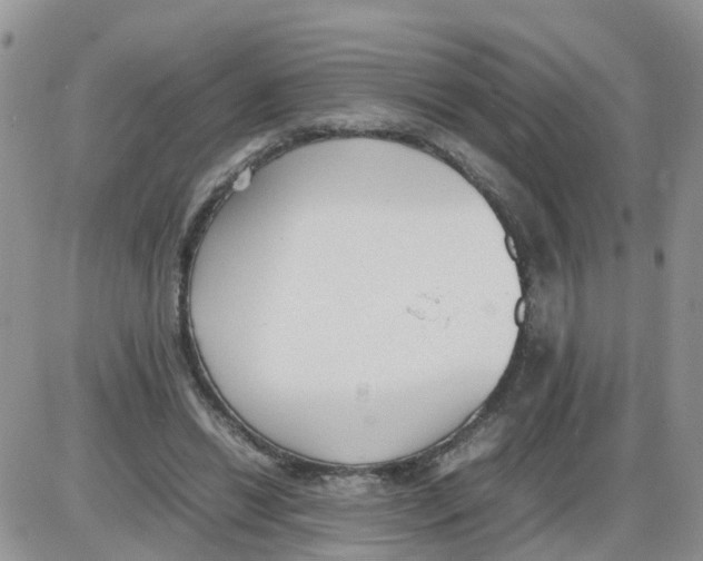 X0000086040446200704202015