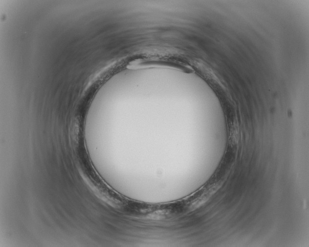 X0000086040448200704202015